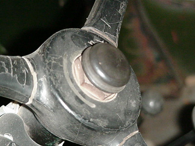 Late Horn Button