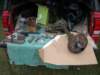p6130377_small.jpg
